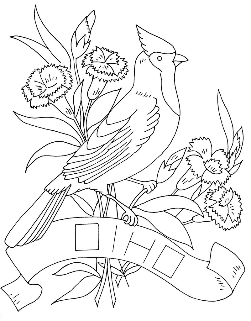 Ohio state bird and flower copied from a previous copy reâ