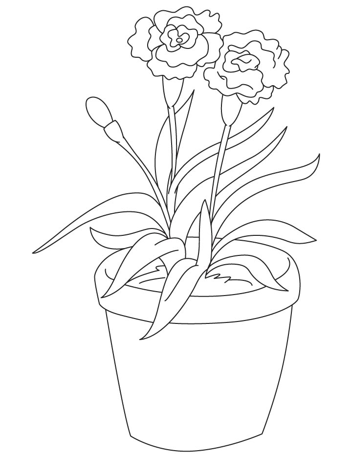 Light red carnation coloring page download free light red carnation coloring page for kids best coloring pages