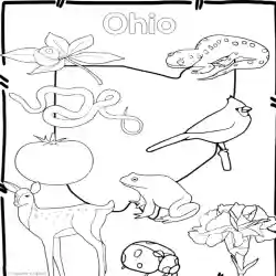 Ohio state symbols clip art by teach simple