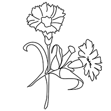 Top free printable flowers coloring pages online