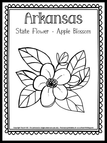 Arkansas state flower coloring page apple blossom free printable â the art kit