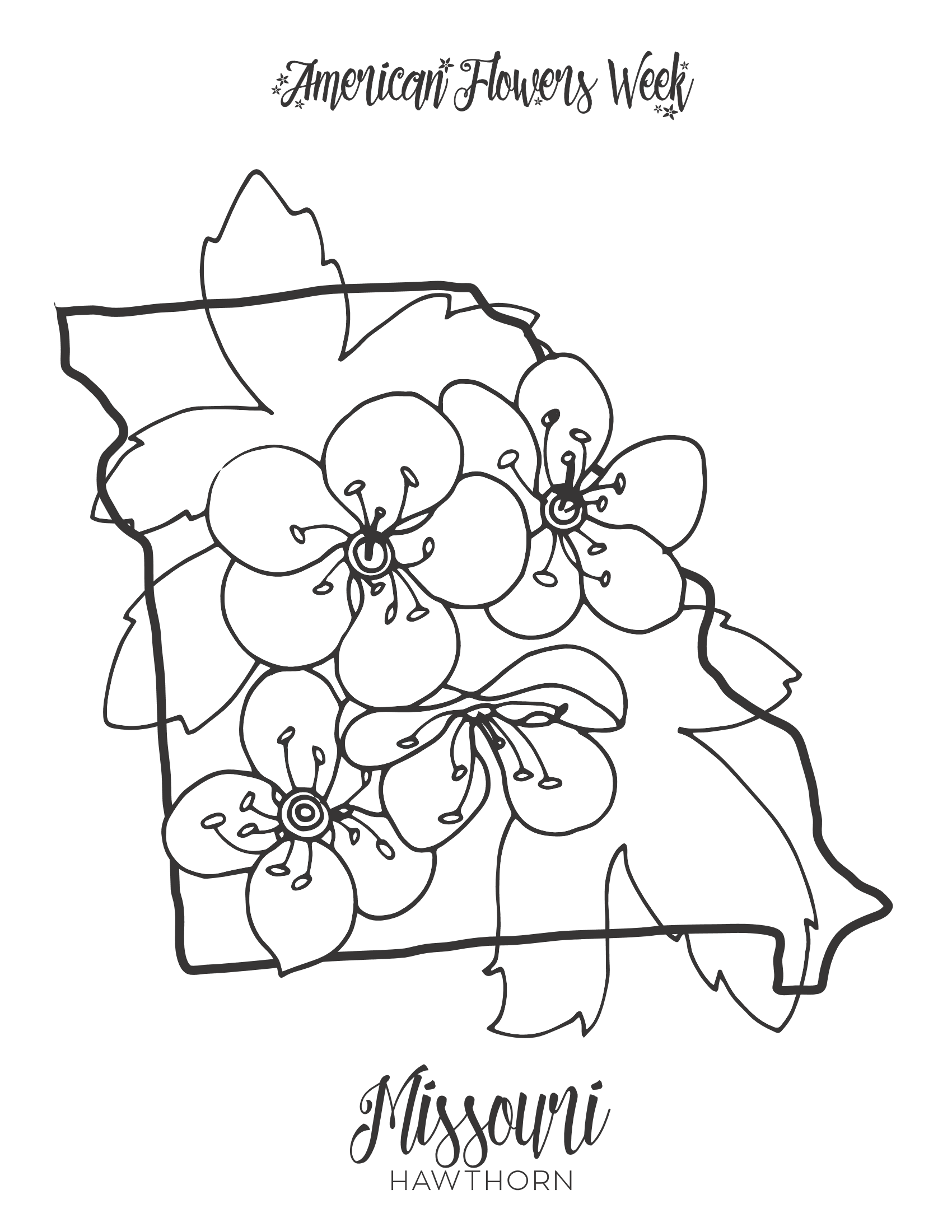 State flowers â free coloring pages â american flowers week