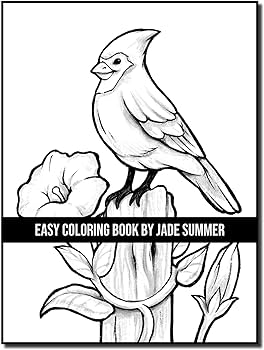 Easy coloring book large print designs for adults and seniors with simple images of animals flowers food objects and more summer jade dunbar joshua books