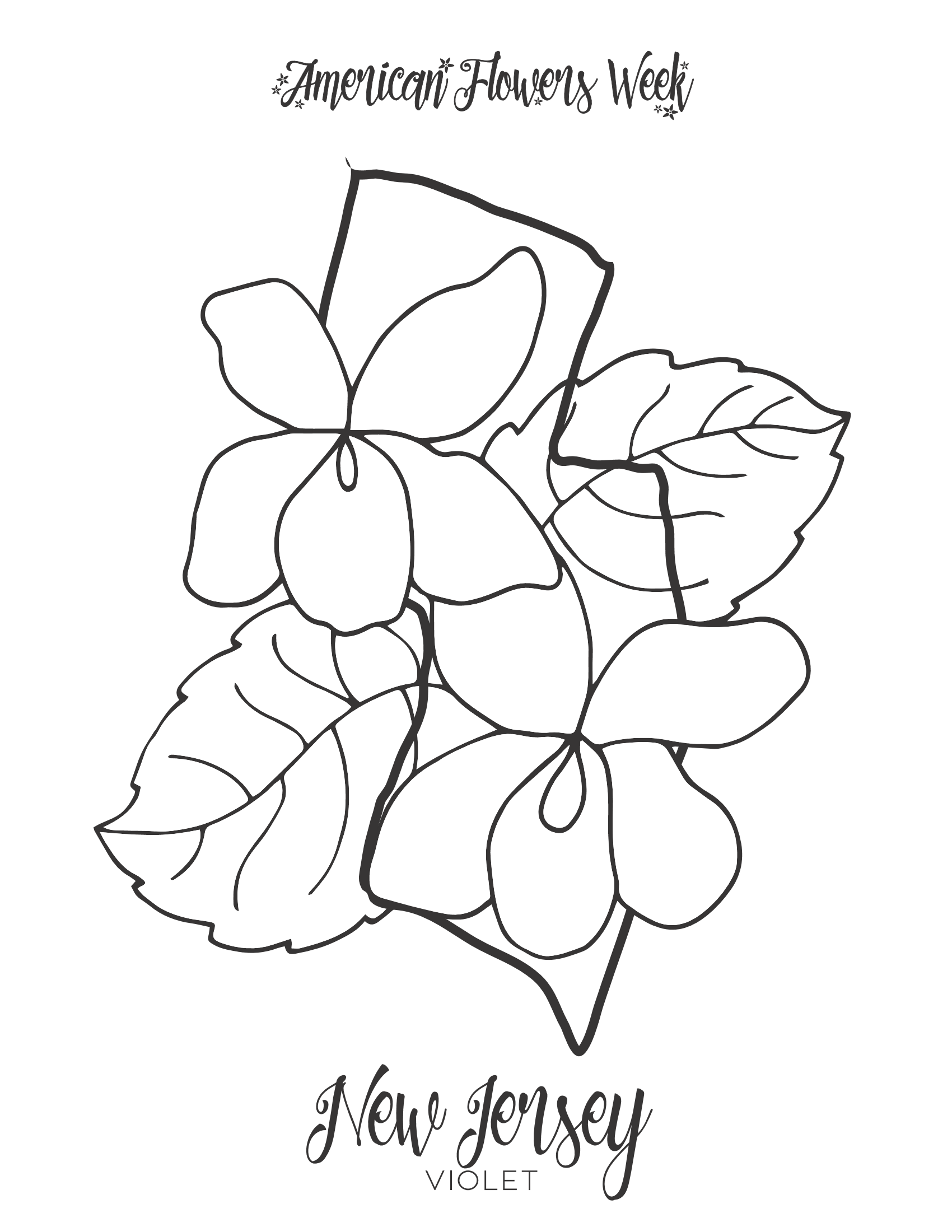 State flowers â free coloring pages â american flowers week