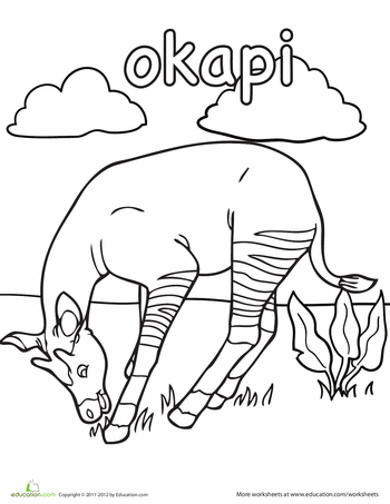 Okapi worksheet education okapi coloring pages animal coloring pages