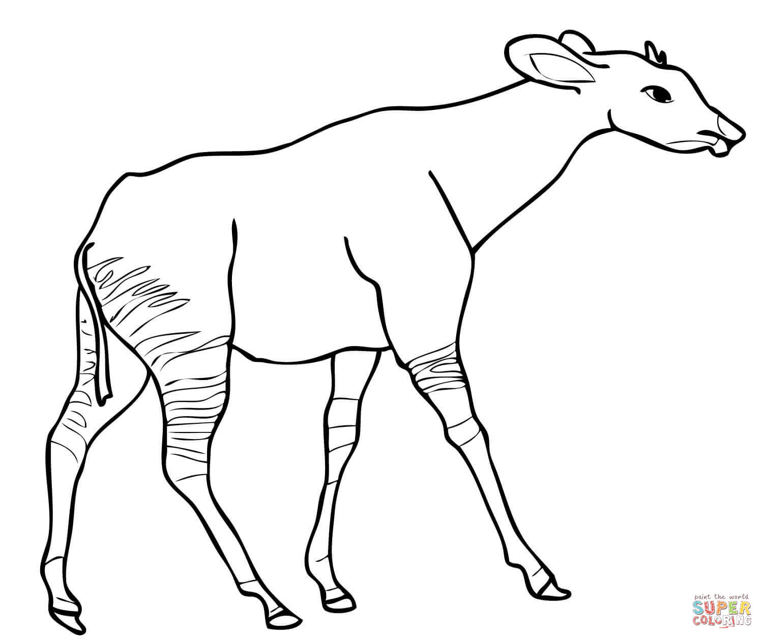 Okapi from central africa coloring page free printable coloring pages