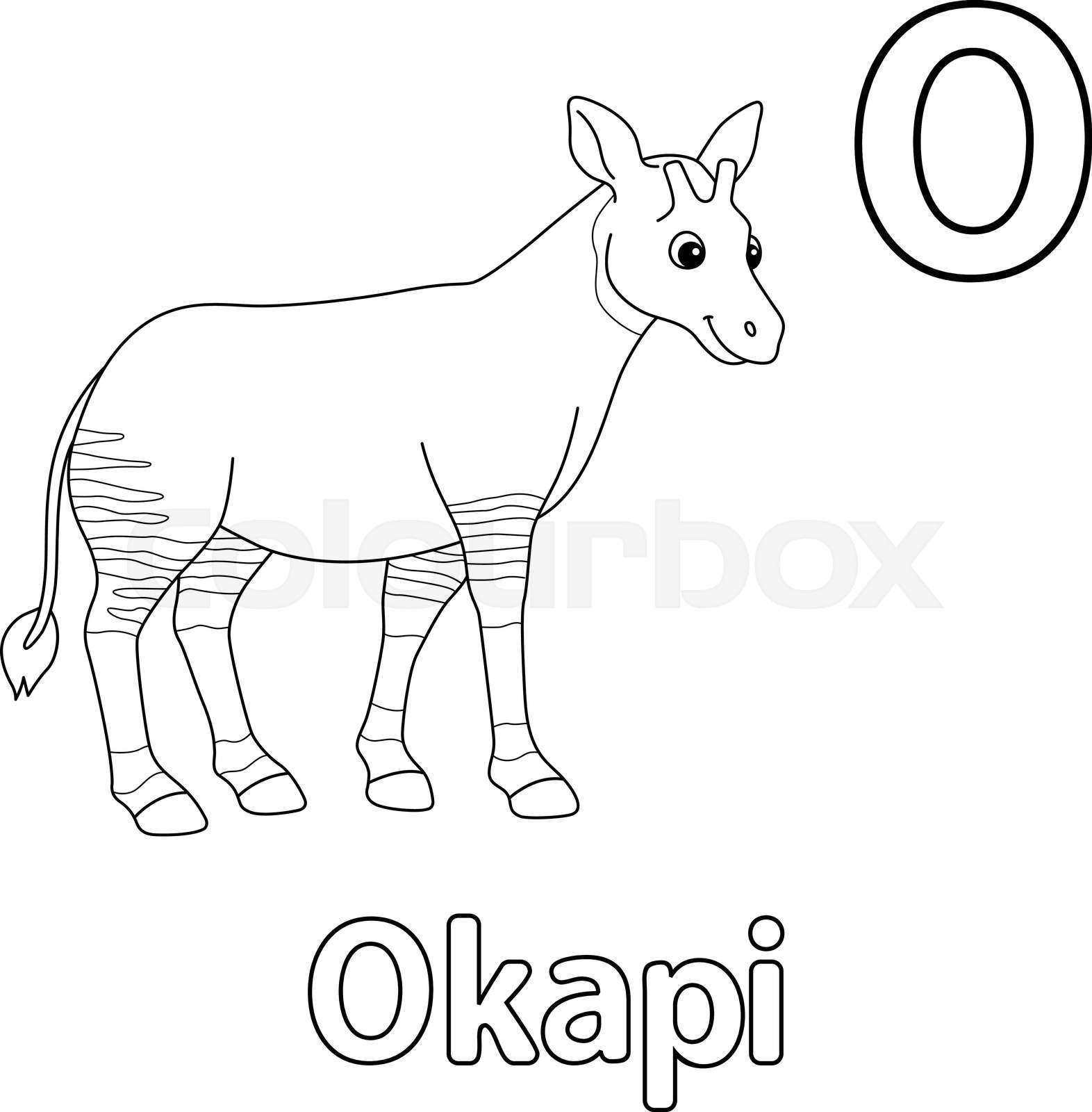 Okapi animal alphabet abc isolated coloring page o stock vector