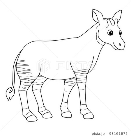 Okapi animal isolated coloring page for kids