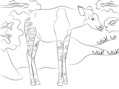 Okapi coloring page free printable coloring pages