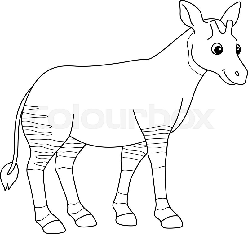 Okapi animal isolated coloring page for kids stock vector