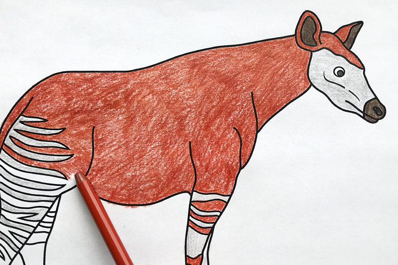 Okapi free printable templates coloring pages