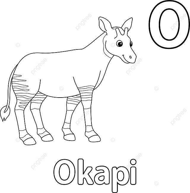 Isolated coloring page of an okapi for animal alphabet abco vector o elementary school isolated png and vector with transparent background for free download