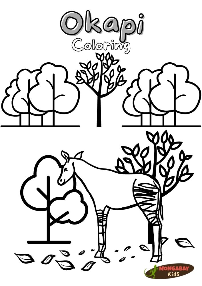 Okapi coloring page â