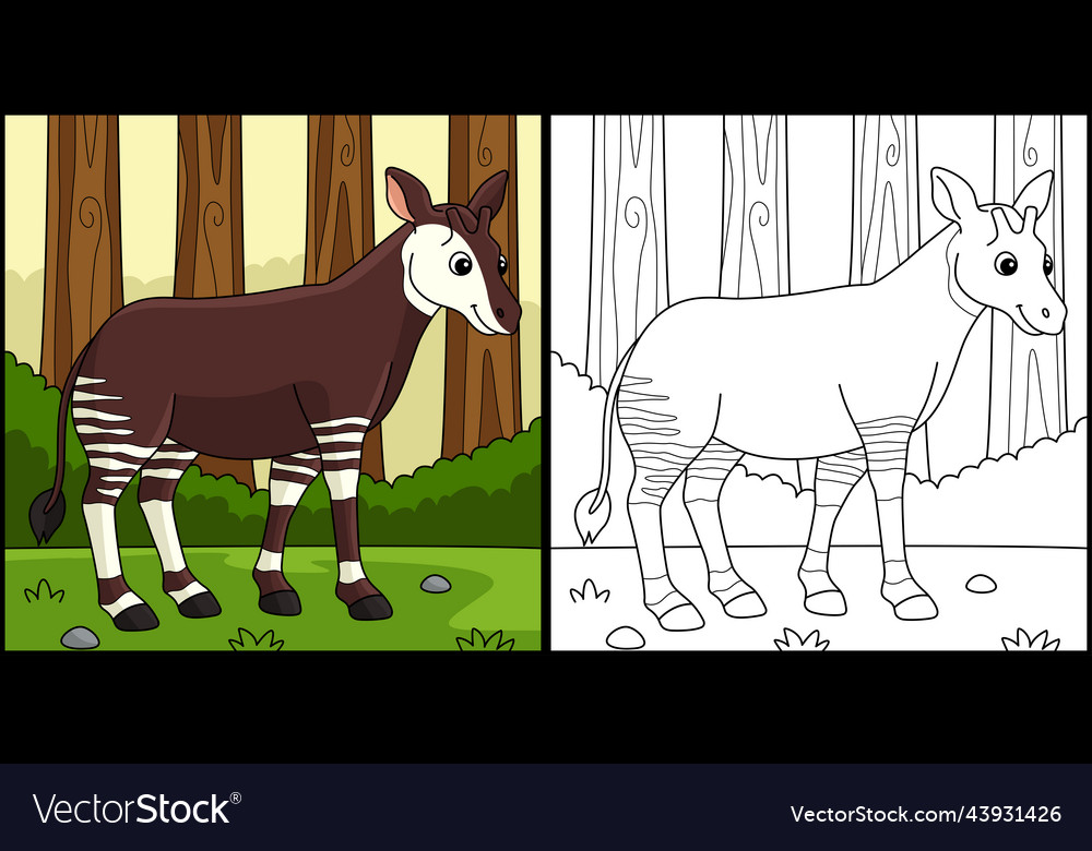 Okapi animal coloring page colored royalty free vector image