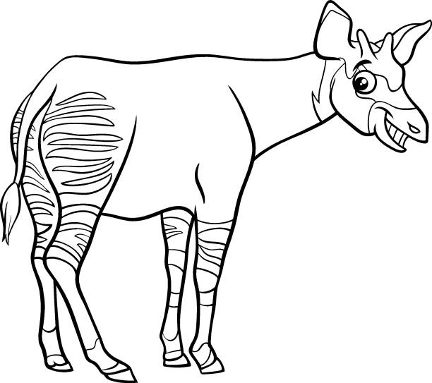 Cartoon okapi ic animal character coloring book page stock illustration