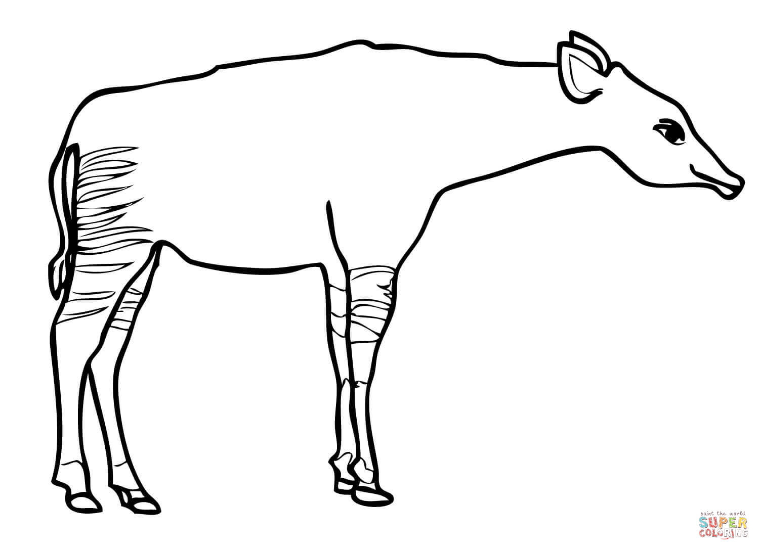 Okapi giraffe coloring page free printable coloring pages