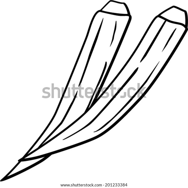 Okra stock vector royalty free