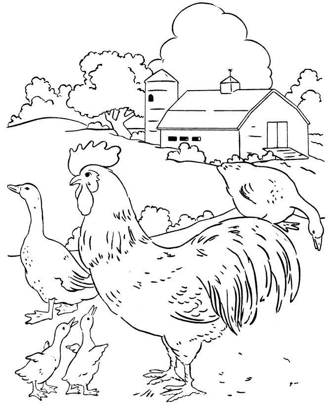 Farm life coloring pages chickens and geese in the barn yard coloring page sheet farm coloring pages coloring pages animal coloring pages