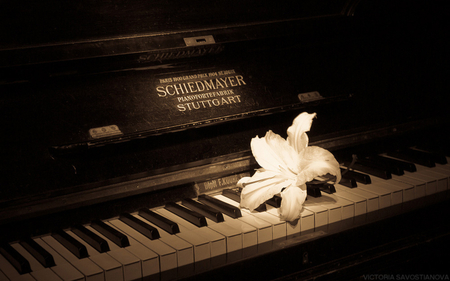 Download Free 100 + old piano Wallpapers