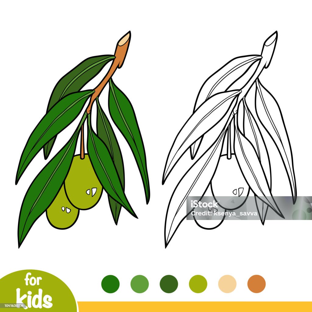 Coloring book olive tree branch stock illustration