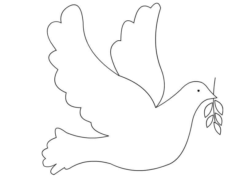 Dove with olive branch coloring page