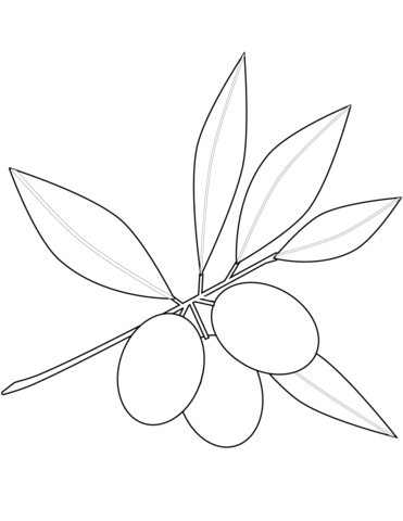 Olives coloring page free printable coloring pages