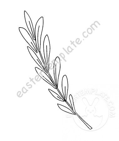 Olive branch vector coloring page