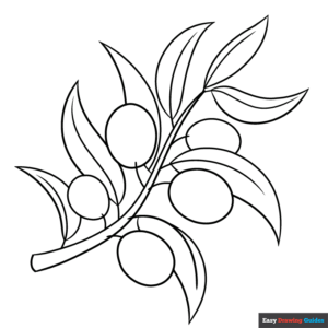 Olive branch coloring page easy drawing guides