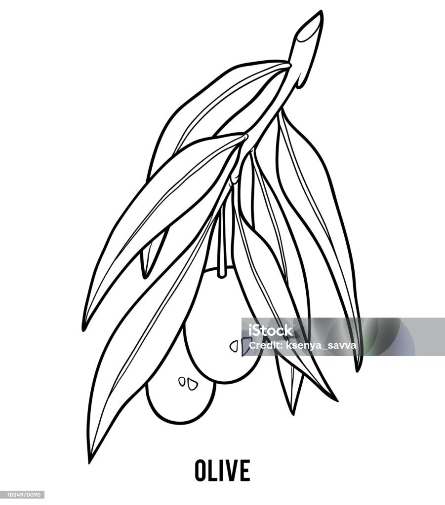 Coloring book for children olive tree branch stock illustration