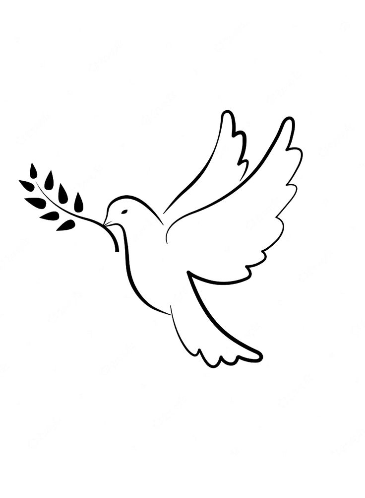 Doves coloring pages