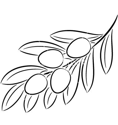 Olive branch vector image on vectorstock branch vector olive branch flower drawing