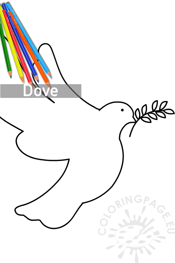 Peace dove with olive branch coloring page