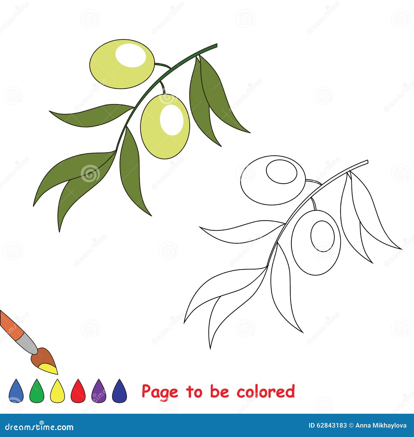 Olive leaf coloring stock illustrations â olive leaf coloring stock illustrations vectors clipart