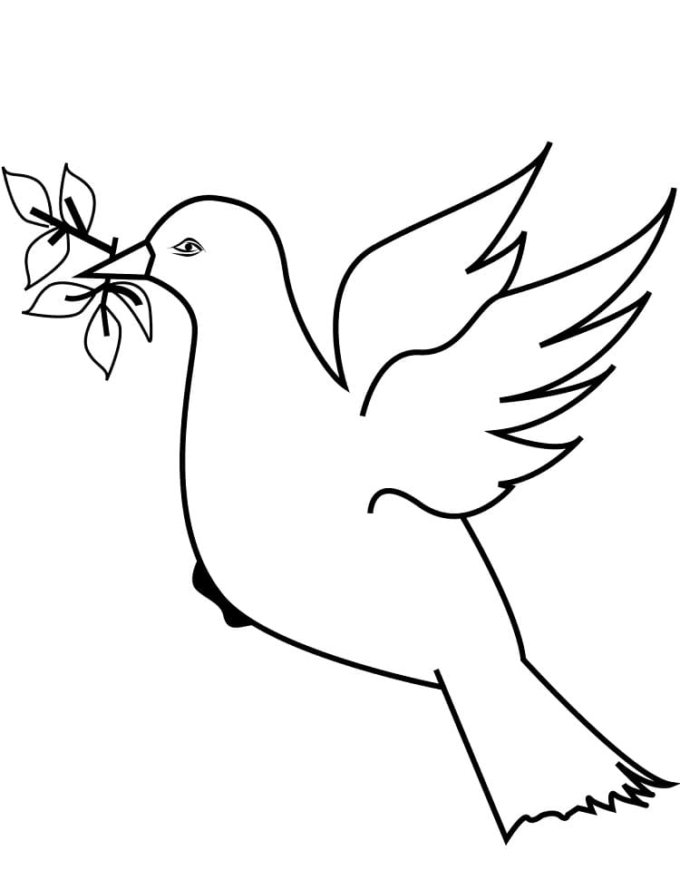 Dove with olive branch coloring page