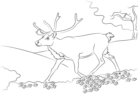 Running reindeer coloring page free printable coloring pages