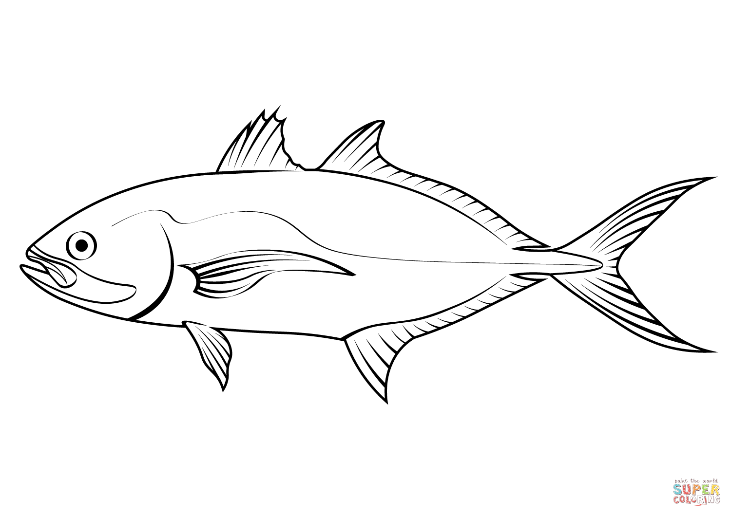 Blue runner caranx crysos coloring page free printable coloring pages