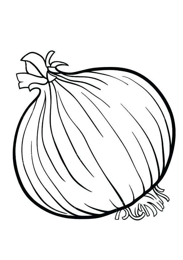 Onion coloring page vegetable coloring pages coloring pages onion drawing