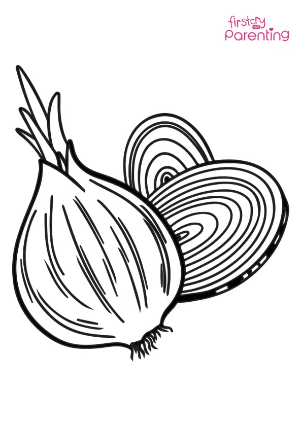 Onion vegetable coloring page for kids