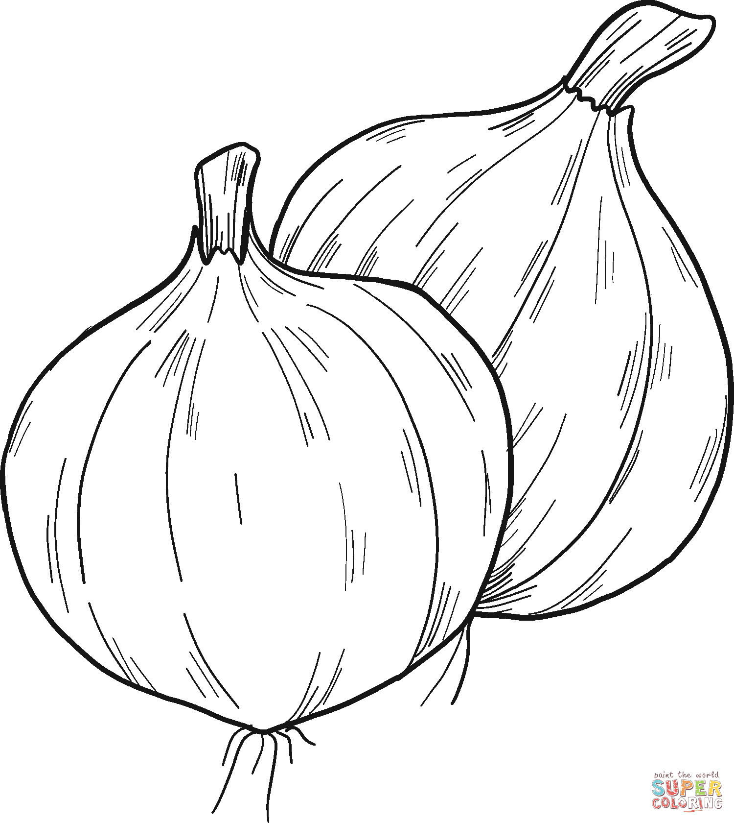 Onions coloring page free printable coloring pages