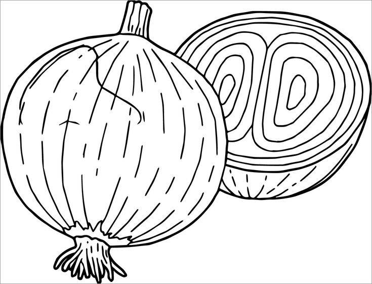 Onion coloring pages