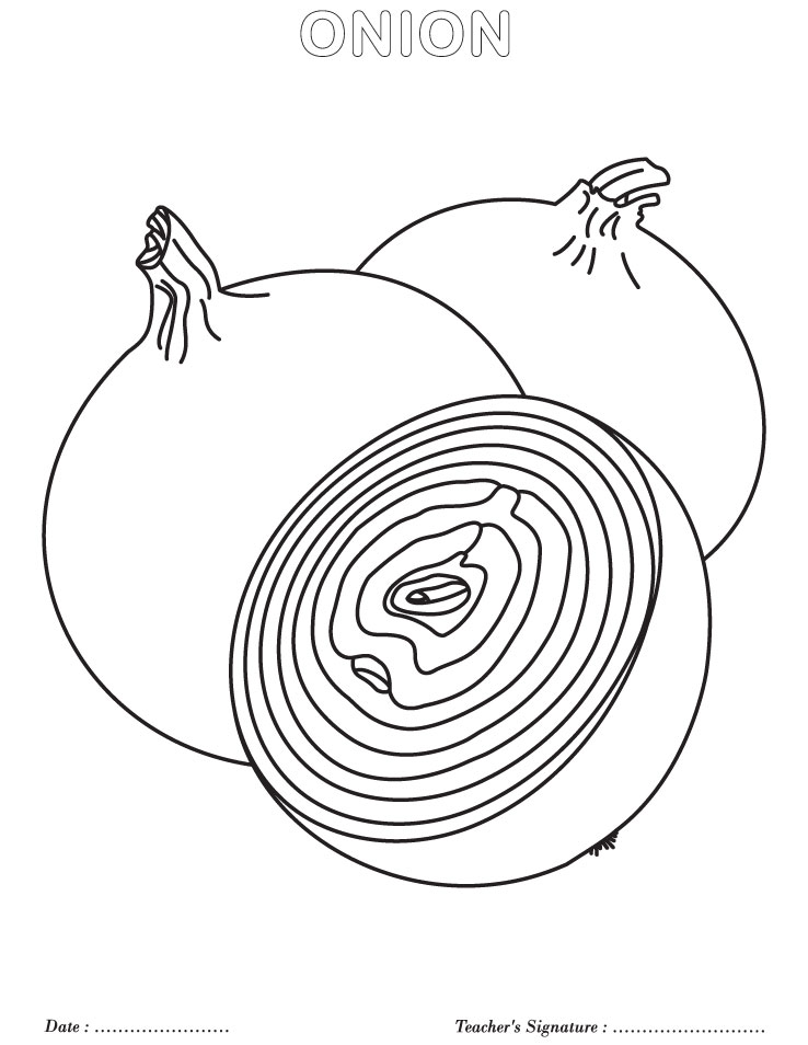 Onion coloring page download free onion coloring page for kids best coloring pages