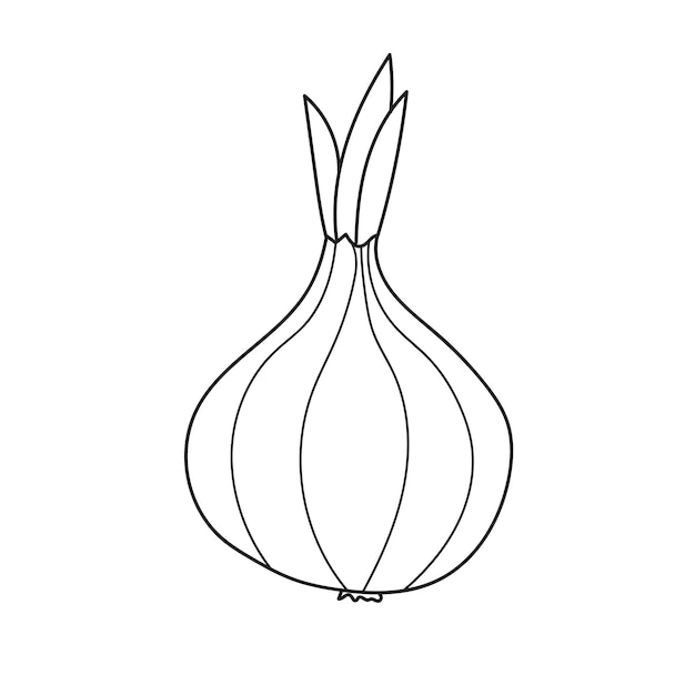 Premium vector simple coloring page onion line art vegetables