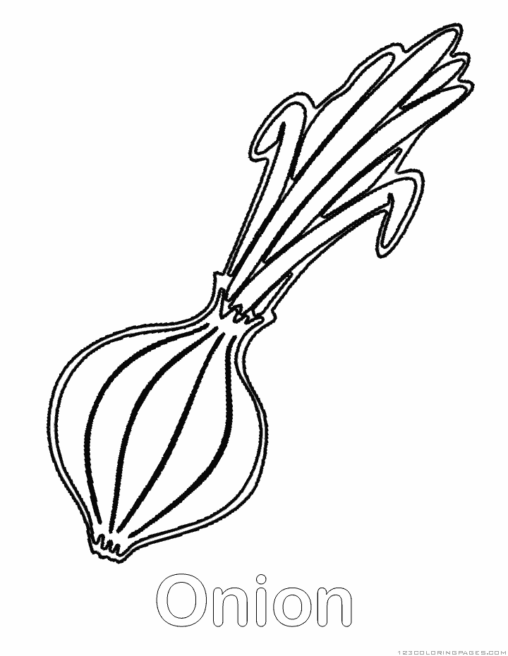 Onion coloring pages