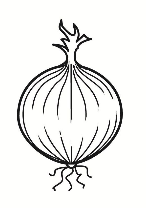 Coloring pages printable onion coloring page