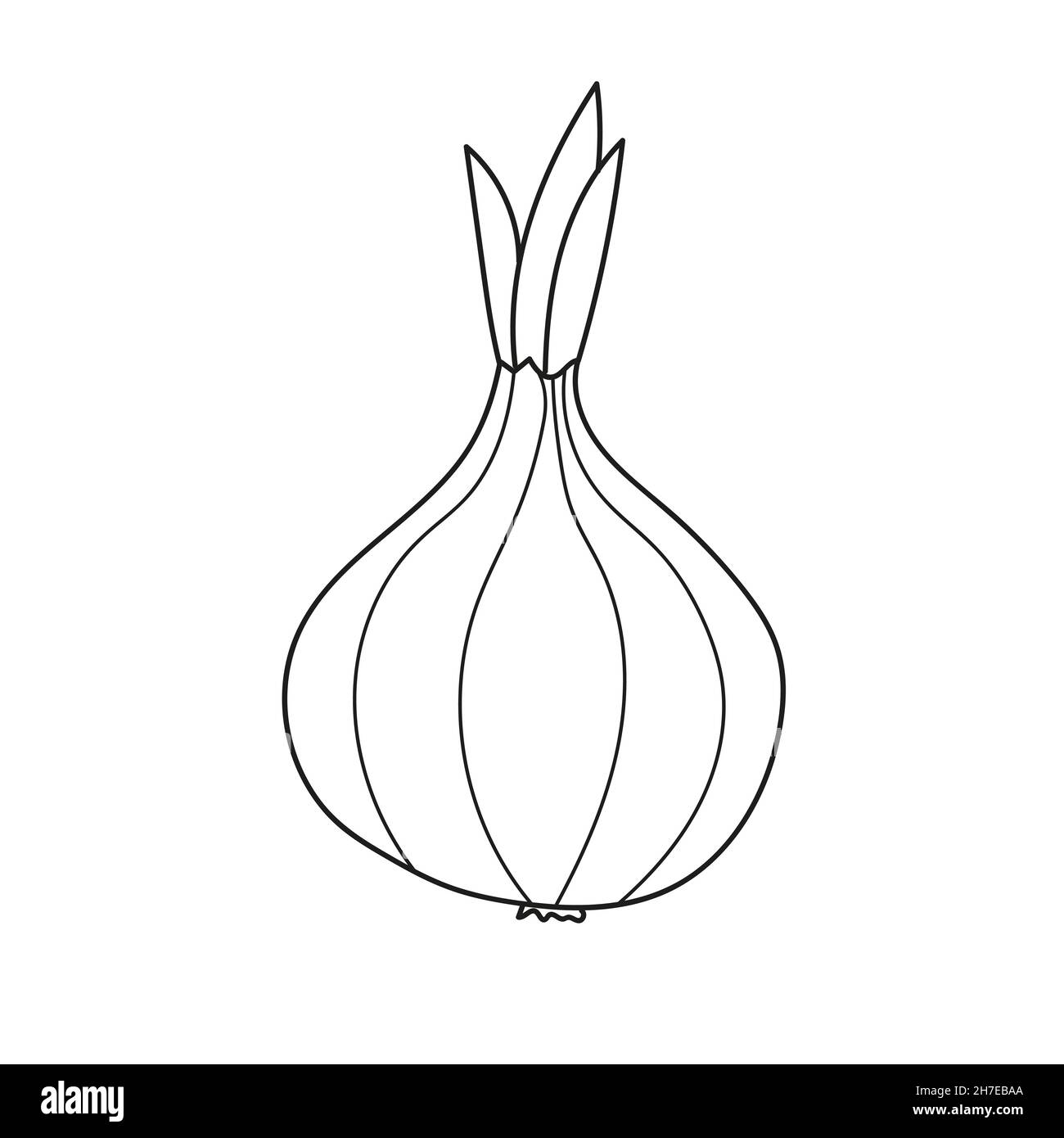 Simple coloring page onion