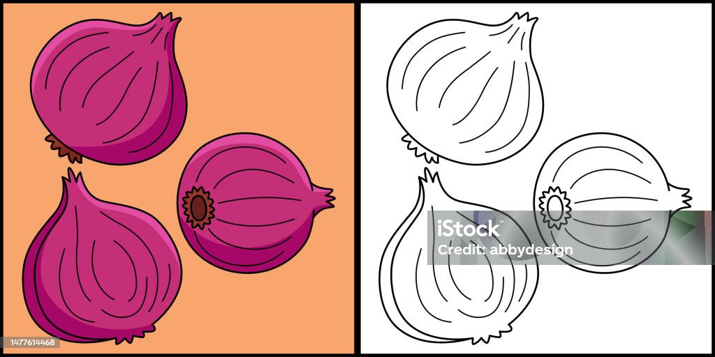 Onion vegetable coloring page colored illustration stock illustration