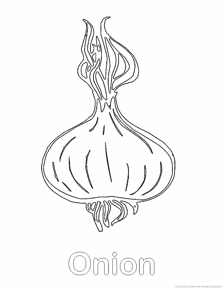 Onion coloring pages