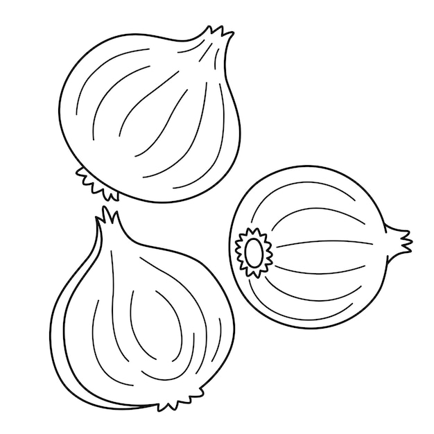 Premium vector onion vegetable isolated coloring page for kids