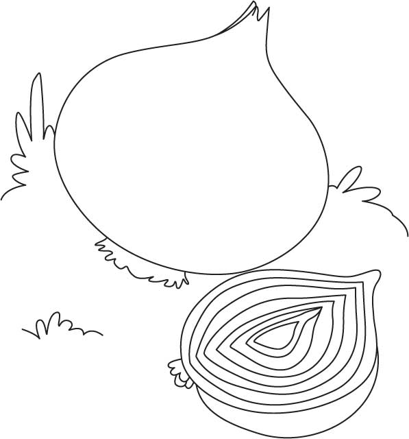 White onion coloring page download free white onion coloring page for kids best coloring pages