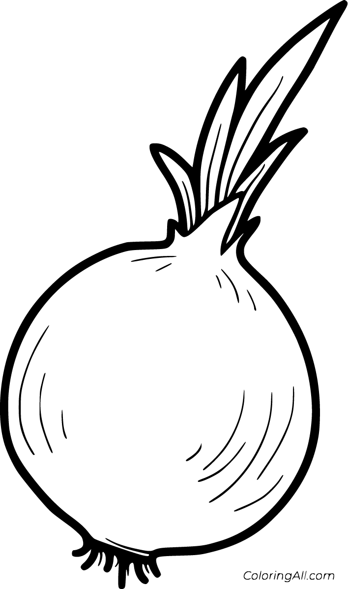 Onion coloring pages